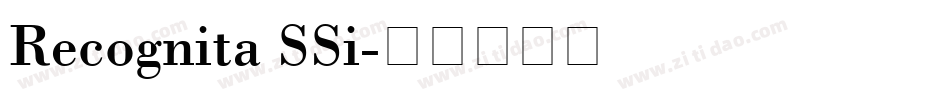 Recognita SSi字体转换